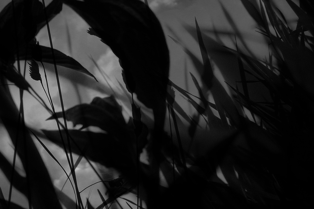 agences communication digital, 